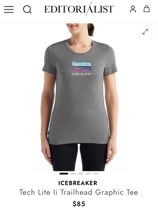 Icebreaker Tops - Icebreaker Gray Tech Lite Trailhead Graphic Tee